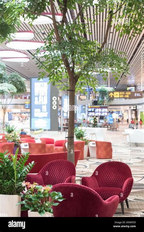 Designer Sofa At Singapore Changi Airport Terminal 4 Newly Open Stock