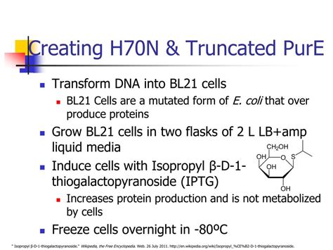 Ppt Site Directed Mutagenesis Of Protein Pure Powerpoint Presentation