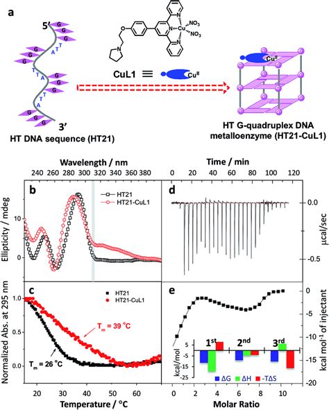 Construction Of Human Telomeric G Quadruplex DNA Metalloenzyme A