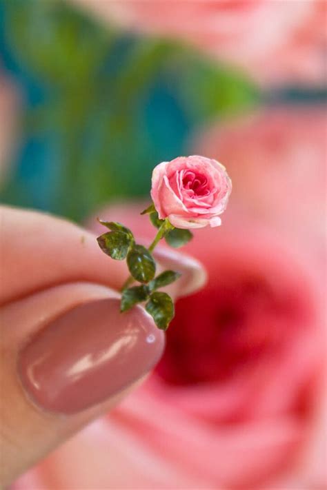 TUTORIAL Miniature Austin Rose With Cold Porcelain Or Air Dry Clay