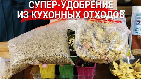 Супер-удобрение из кухонных отходов - YouTube