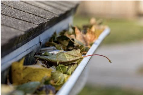 Guide To Clogged Gutters Understanding Why Theyre Dangerous Best