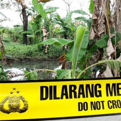 Warga Bintara Jaya Geger Temukan Jasad Bayi Diduga Hasil Incest Kakak