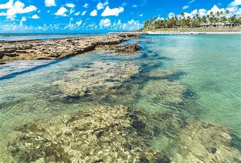 Praias Do Nordeste Para Fugir Do Frio Durante O Inverno