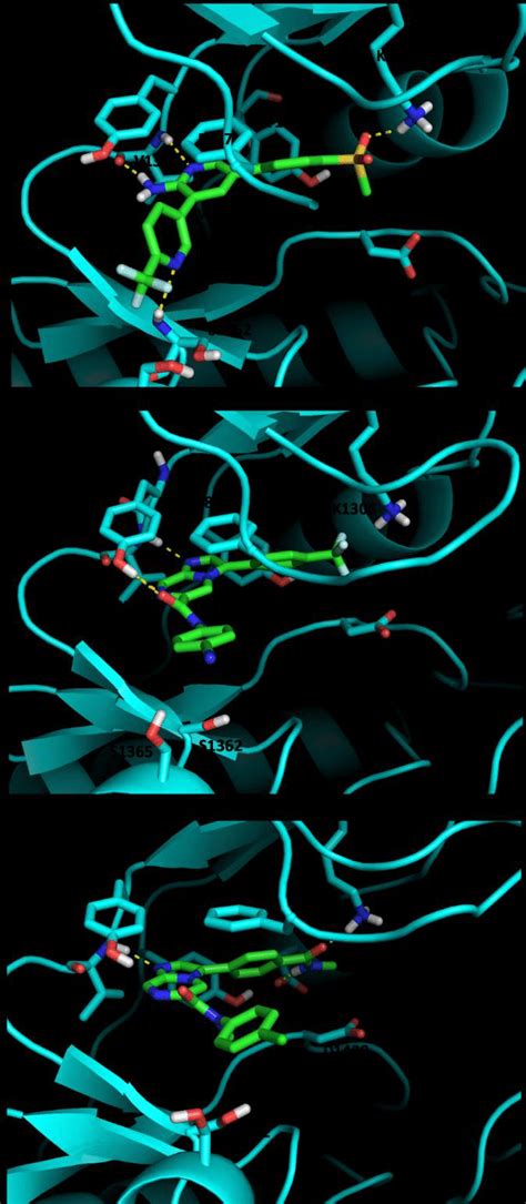 Docked Binding Poses Of Pfpi4k Inhibitors Within The Atp Binding Site Download Scientific