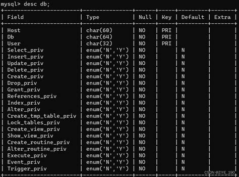 Mysql数据库基础 Csdn博客