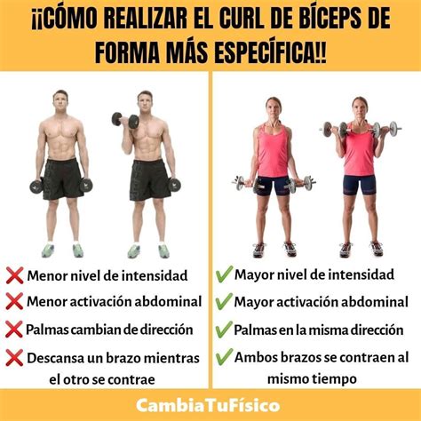 C Mo Realizar El Curl De B Ceps De Forma Mas Especifica