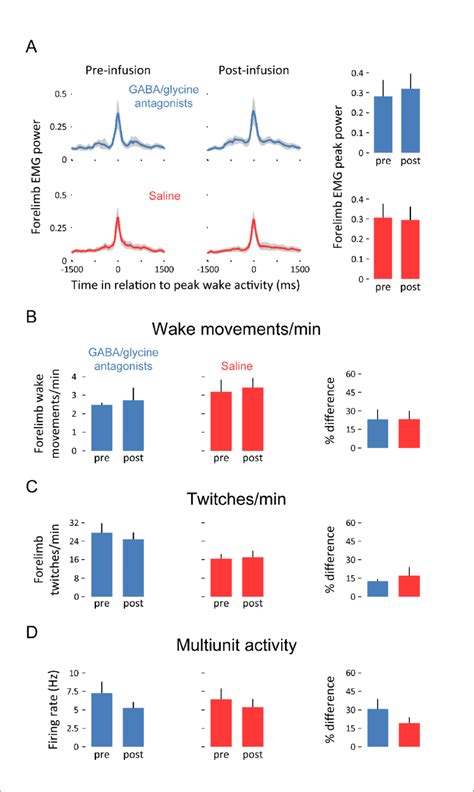 Pharmacological Blockade Of Gaba A And Glycine Receptors In The Ecn