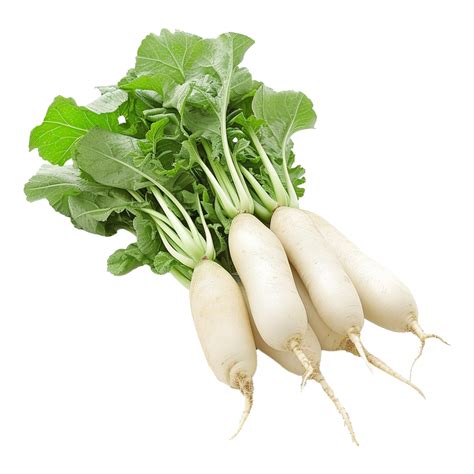 Ai Generated Daikon Radish Isolated On Transparent Background Png