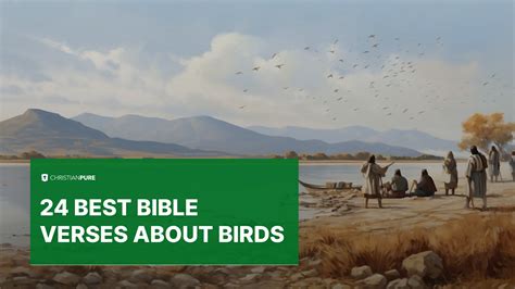 24 best bible verses about birds | Christian Pure