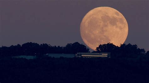 Superlunas En Agosto Cu Ndo Y C Mo Ver La Luna Del Esturi N Y La Luna Azul