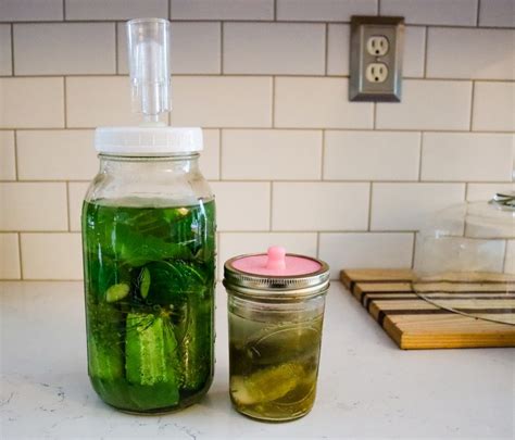 Fermented Pickles Quick Easy Old Fashioned Recipe