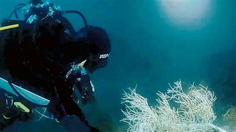 Il Progetto Delle Cinque Terre “conoscere E Tutelare Il Mare” Il