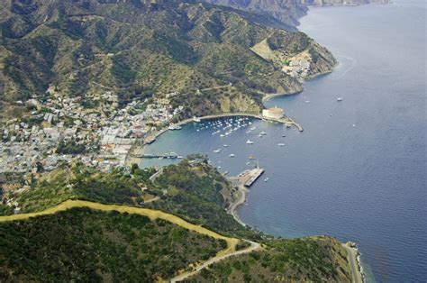 Avalon Bay Catalina Island In Ca United States Harbor Reviews