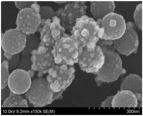 一种贵金属核壳结构纳米粒子及其制备与应用的制作方法