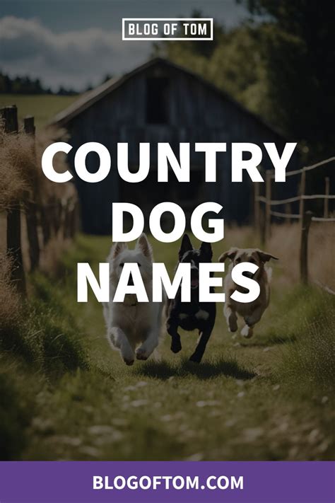 349 country dog names best ideas – Artofit