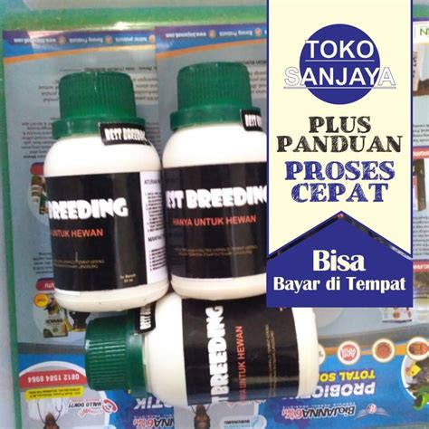 Jual Vitamin Best Breeding Ml Plus Panduan Sukses Ternak Burung