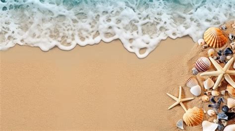 Premium Photo Seashells And Starfish On The Beach Summer Background