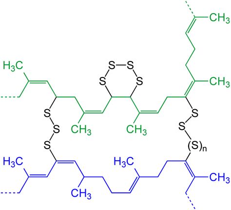 physical chemistry - What elastic polymeric material look like at ...