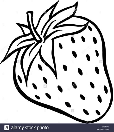 Strawberry Outline Drawing | Free download on ClipArtMag