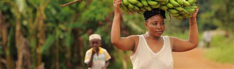 Healthy diets from sustainable food systems | UN‑Nutrition: the United ...