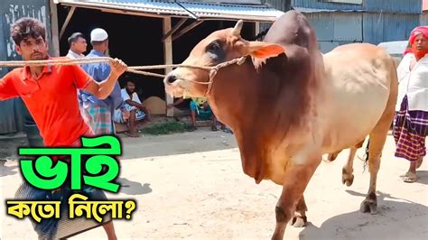 Bhai Koto Nilo Qurbani Gorur Haat 2022 Part 10 Qurbani Gorur Dam