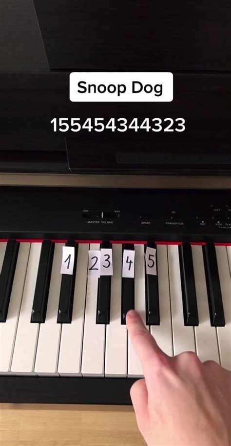 Learn Playing Piano At Home Very Easily Playing Piano Easy Piano