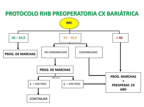 Pdf Protocolo Rehabilitacion Preoperatoria Cx Bari Trica Dokumen Tips