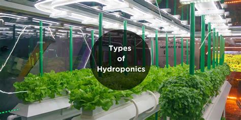 Types Of Hydroponics Systems For Your Business Kariot