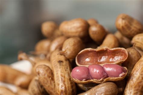 Roadside Boiled Peanuts Atelier Yuwaciaojp