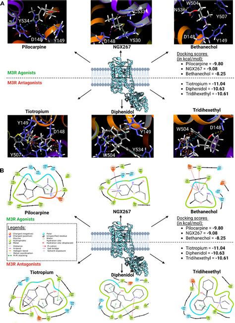 Frontiers Deepening Insights Into Cholinergic Agents For Intraocular