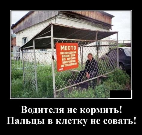Картинки в рамках с надписями - ЯПлакалъ | Веселые картинки, Мемы, Картинки
