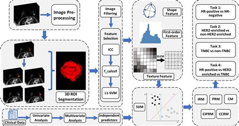 Frontiers Intra And Peritumoral Radiomics Model Based On Early Dce