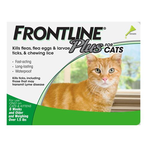 Buy Frontline Plus for Cats: Best Flea & Tick Treatment