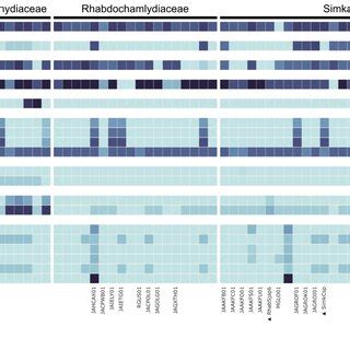 The Number Of Each Type Of Metabolic Pathway Found In Each Chlamydiota