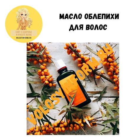 Масло облепихи для волос: польза, маски, отзывы о масле облепихи