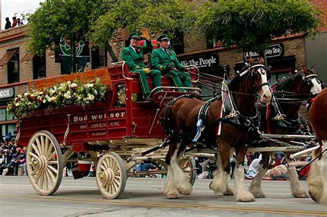 The Budweiser Clydesdale Commercials – Spencer Tabb