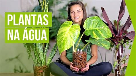 Plantas Que Podem Ser Cultivadas Na Gua