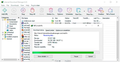 Internet Download Manager Is A Powerful Download Accelerator