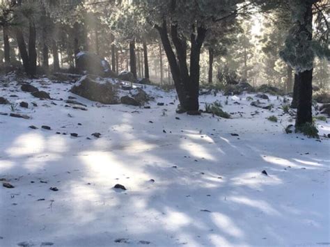 La Nieve Llega A Gran Canaria Tenerife Y La Palma