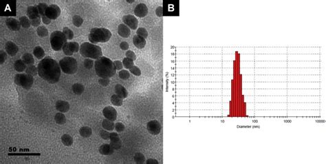 Characterization Of Agnps A Tem Image Of Agnps Scale Bar Is Nm