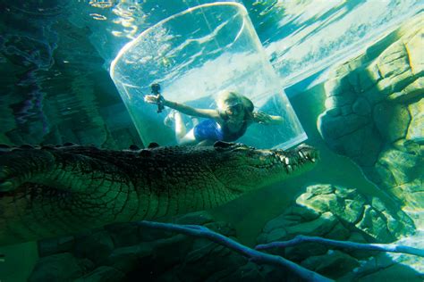 Your first 24 hours in Darwin, Australia - Wanderlust