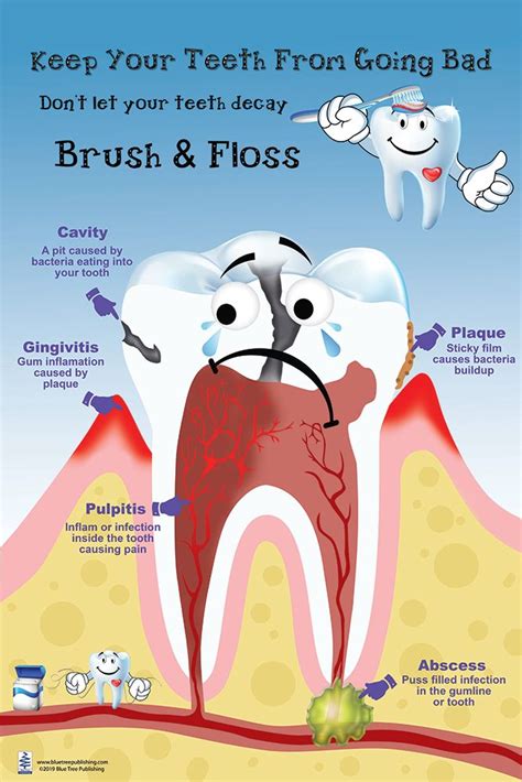 Brush And Floss Regular Poster