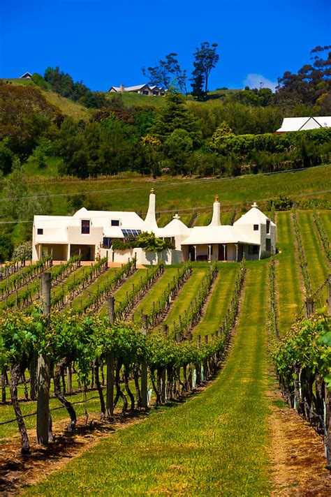 Te Mata Estate Coleraine Winery Havelock North Hawkes Bay North