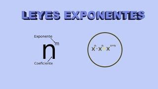 Leyes De Los Exponentes Doovi