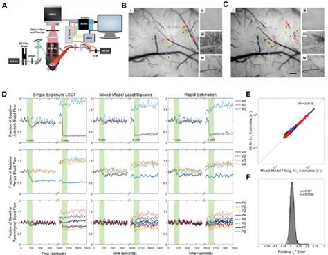 Processing of multi-exposure speckle images from a mouse model of ... 