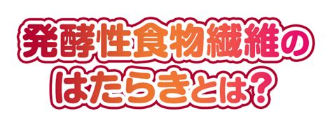 発酵性食物繊維とは？