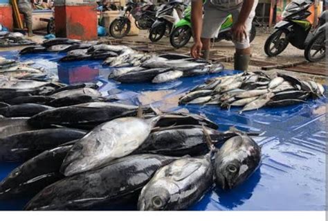 Jatigede Segera Miliki Sentra Kuliner Ikan Kabupaten Sumedang