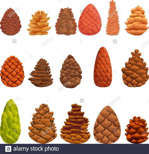 Pine Cone Icons Set Cartoon Set Of Pine Cone Vector Icons For Web