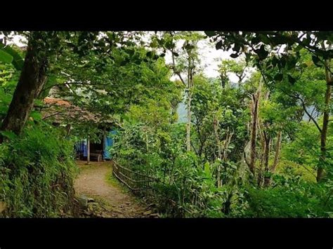 Rumah Kampung Terpencil Ditepi Jurang Gunung Mbanyon YouTube